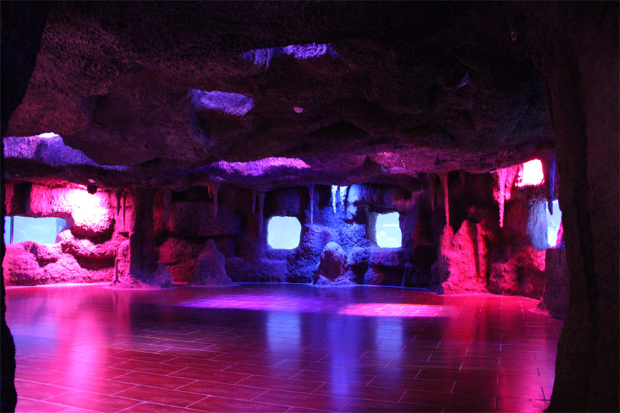 Von Kemer: Antalya Tunnel Aquarium